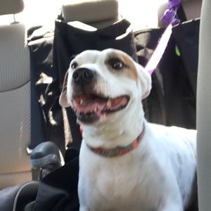 Meet your Posher, Lucero